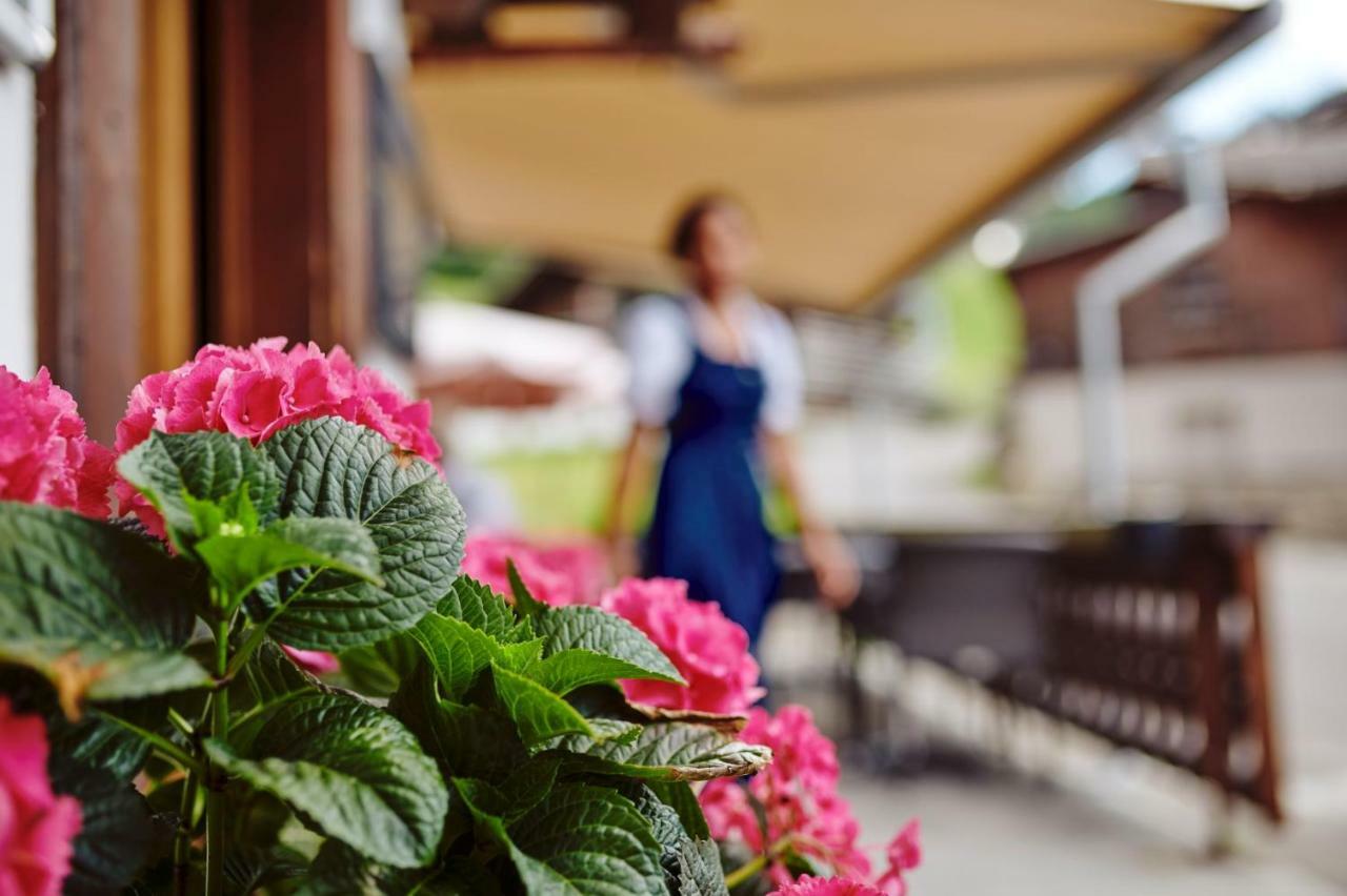 Hotel Alphorn Gstaad Esterno foto